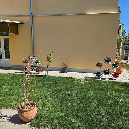 Apartament Kuca Aleksic