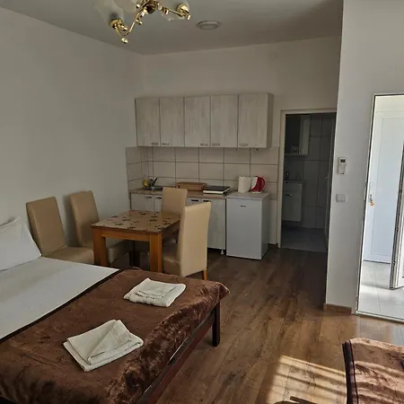 Kuca Aleksic Apartament
